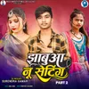 About Jhabua Nu Setting Part 2 Song